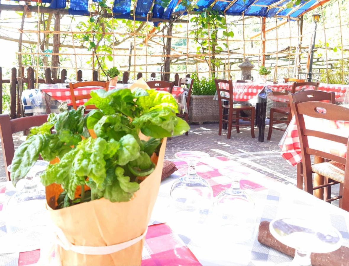 Agriturismo Il Pettirosso 阿杰罗拉 外观 照片
