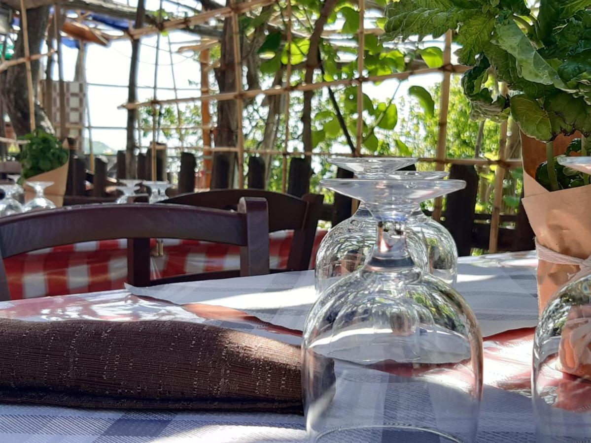 Agriturismo Il Pettirosso 阿杰罗拉 外观 照片