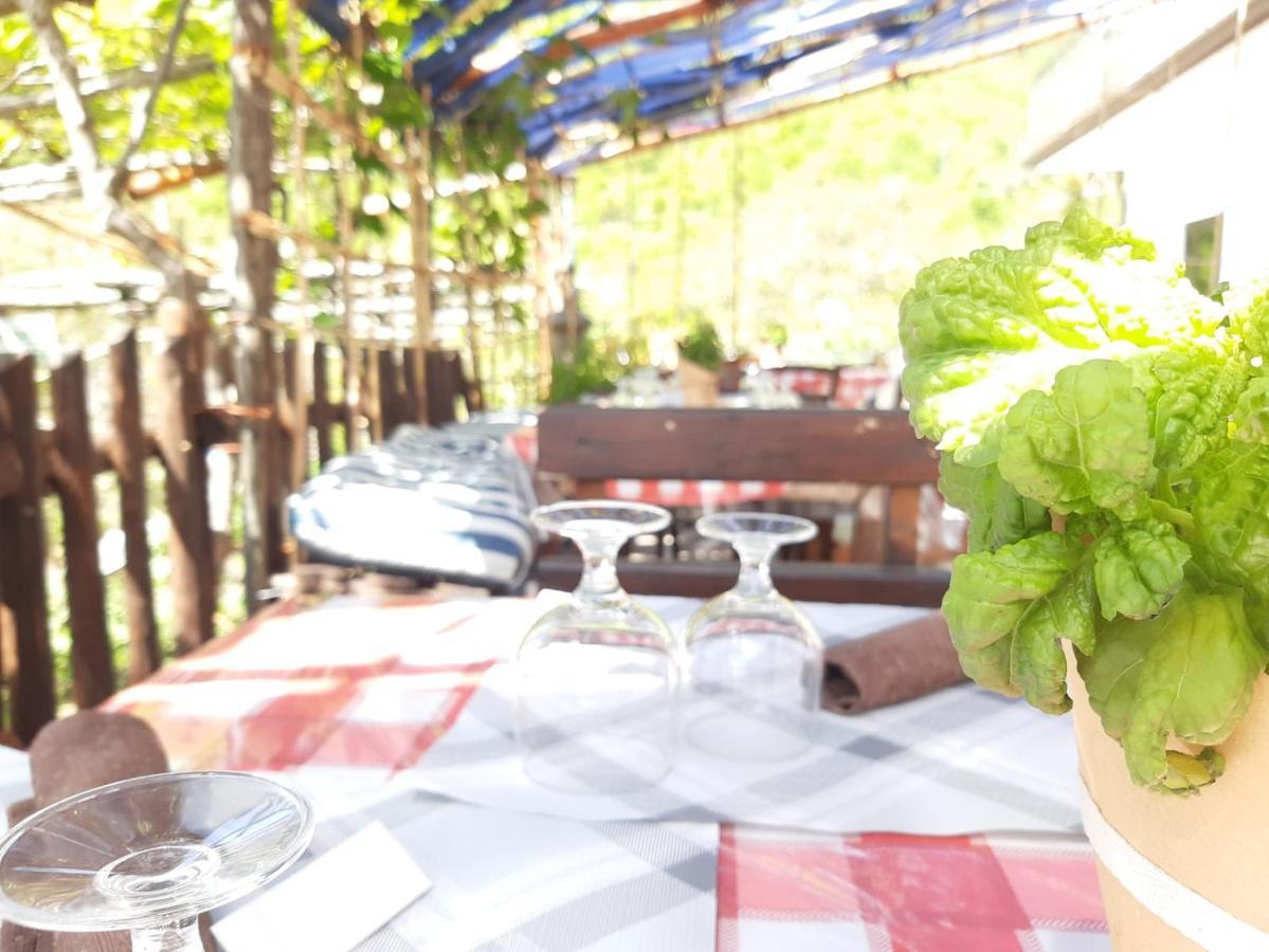 Agriturismo Il Pettirosso 阿杰罗拉 外观 照片