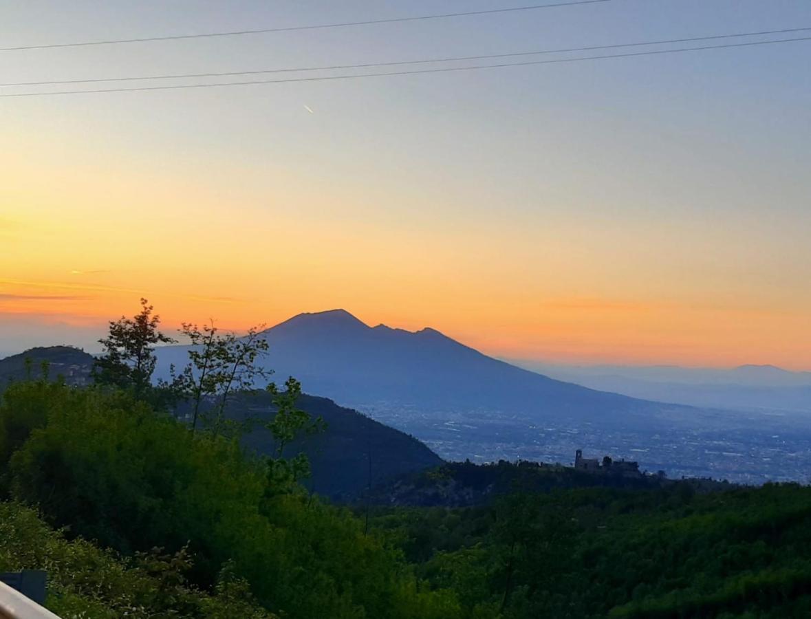 Agriturismo Il Pettirosso 阿杰罗拉 外观 照片