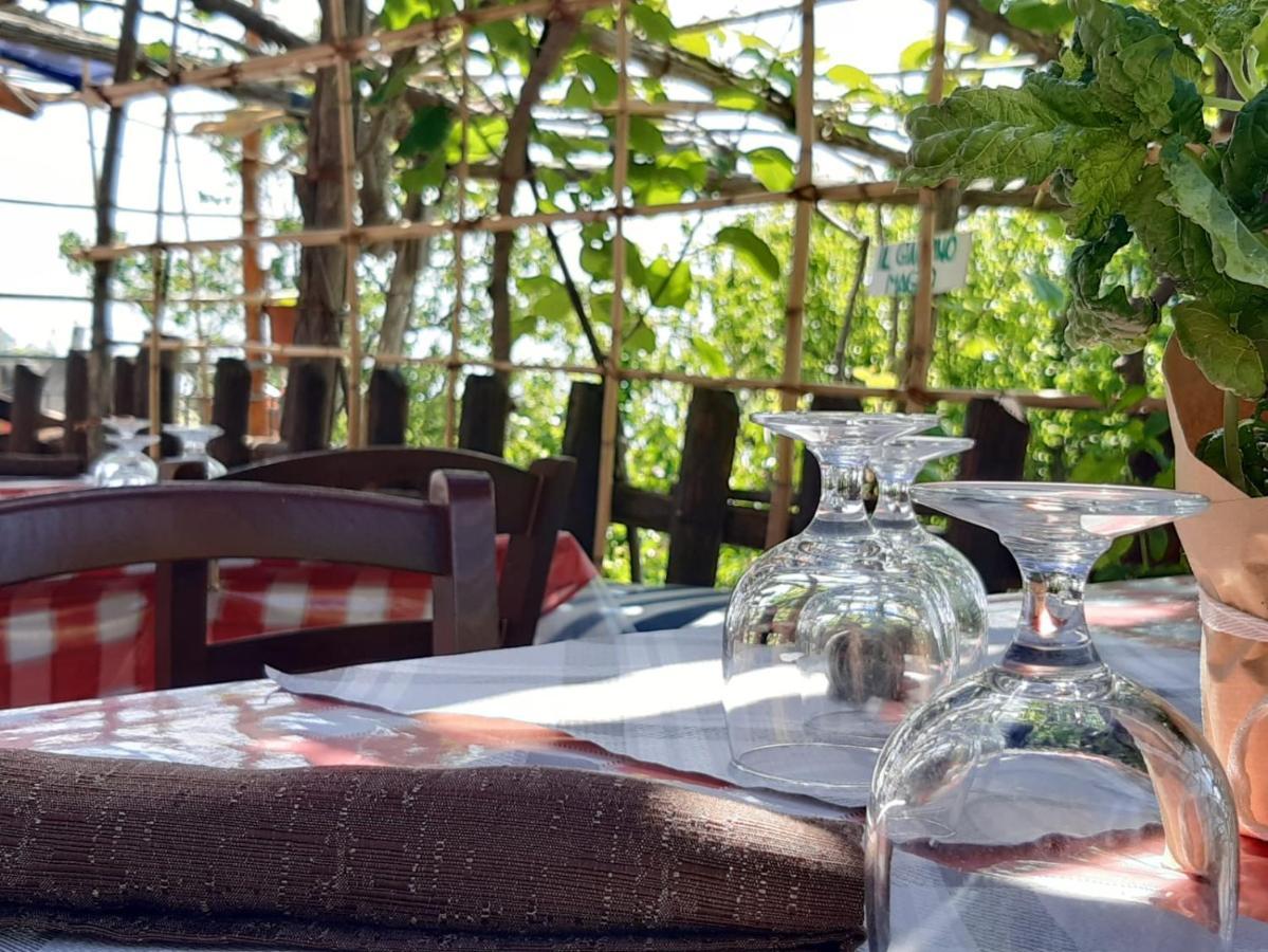 Agriturismo Il Pettirosso 阿杰罗拉 外观 照片