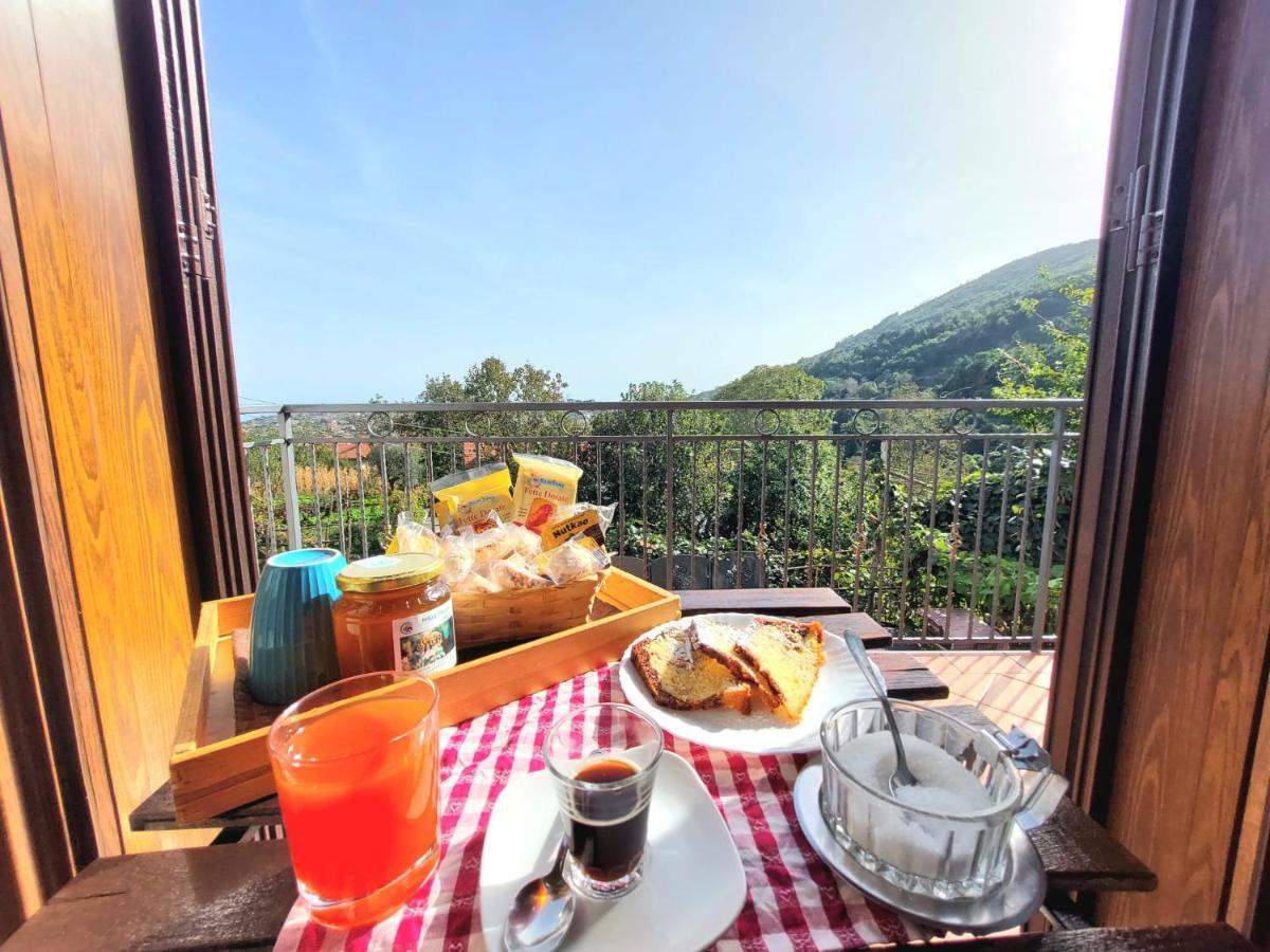 Agriturismo Il Pettirosso 阿杰罗拉 外观 照片