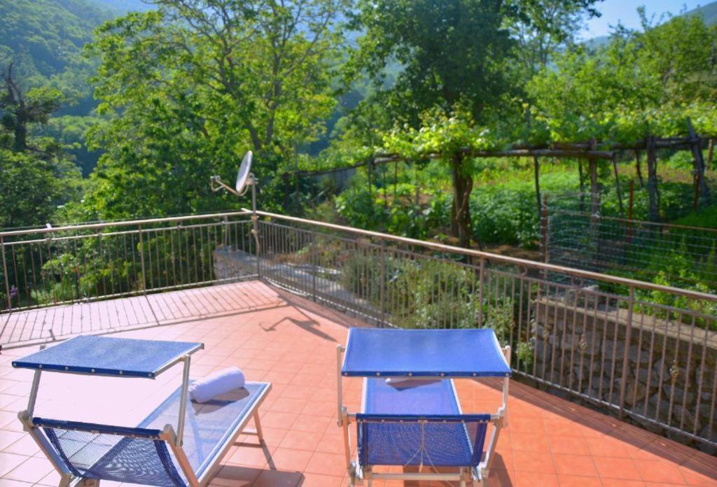 Agriturismo Il Pettirosso 阿杰罗拉 外观 照片
